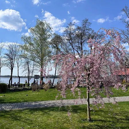Stary Tartak Apartament Lejlighed *